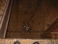 [Click to enlarge image]